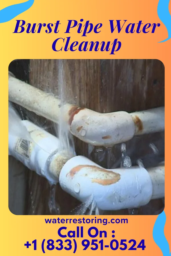 Burst Pipe Water Cleanup in Canova, SD