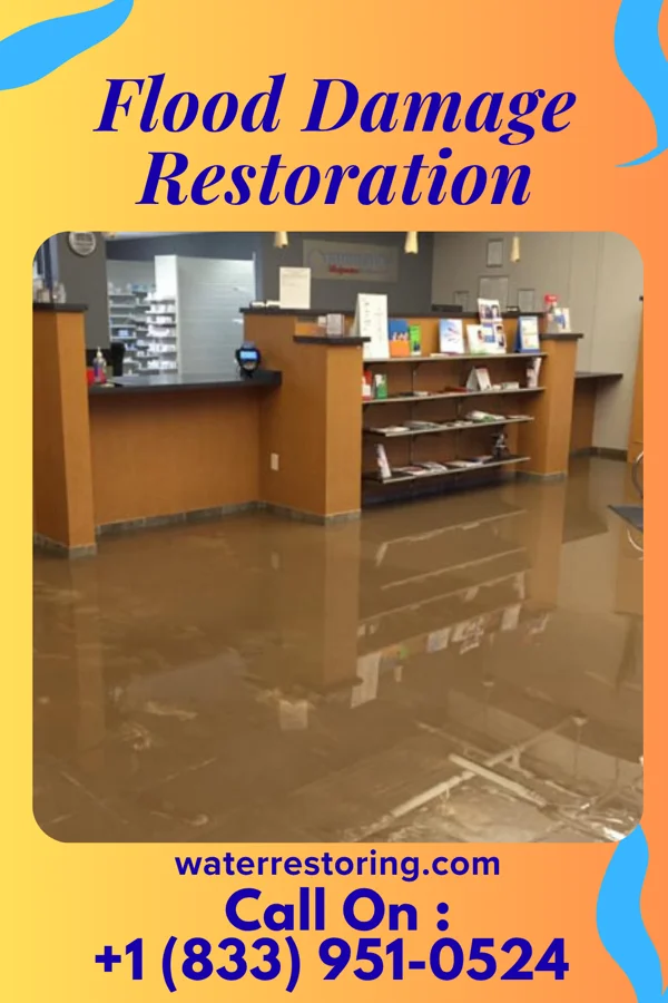 Flood Damage Restoration in Canova, SD
