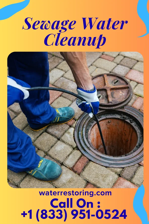 Sewage Water Cleanup in Canova, SD